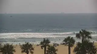 Avocado Reverse 3/2 + RM