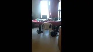 Random transition Video