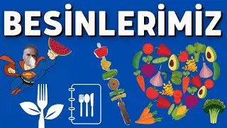 4. Sınıf Besinlerimiz Konu Anlatımı | Fen Bilimleri