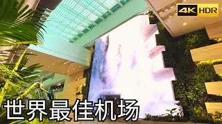 [CC: Eng Sub]Changi Airport Departure Hall Walking Tour | Singapore Changi Airport Vlog EP1 | 4K HDR