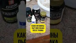 ЧТО ПЬЁТ МОЯ СОБАКА? #сибирскоездоровье #витамины #собака #растяжение #связки