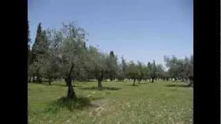 Jesu Einzug in Jerusalem | Lukas 19,28-40  [Deutsch] [HD]