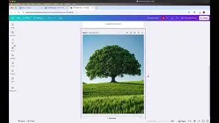 How to Set Up Bleed, Trim, and CMYK in Canva for Greenerprinter