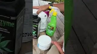 Соль Мора от хлороза гортензий