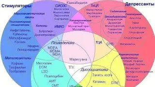 Легалайз в Украине и России. Психоделики и их перспективы
