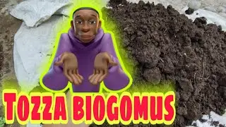 +998991118396 Tozza biogomus nech oyda  tayyor bo'ladi/ тоза биогомус неч ойда таййор булади🤫💸