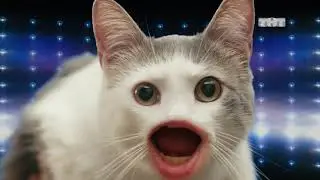 Любовный рэп