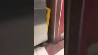 Speed￼