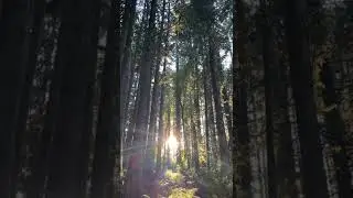 I love capturing ASMR ￼