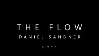 The Flow: Short Animated Abstract Film by Daniel Sandner, Exploring Turing Multiscale Patterns
