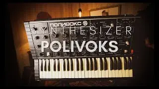 Polivoks Polyvox Vintage BEST soviet Analog Synthesizer USSR Moog Prophet