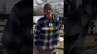 Unlock the Secrets of Goat Training with a Squirt Bottle Technique! 🐐