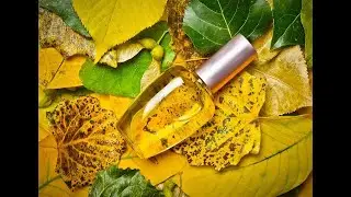 МОИ ПАРФЮМЫ ОСЕНИ 🍁❤️