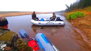 Taiga fishing with a net 2020/Made a shelf/Prepared fish.