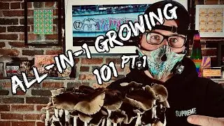 All in one bag method | Myco grow bag tek pt.1