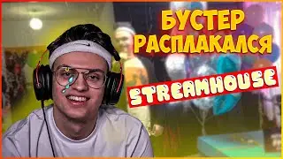 ДЕНЬ РОЖДЕНИЕ БУСТЕР | СУМО | ПОЗДРАВЛЕНИЯ | ЭМОЦИИ | STREAMHOUSE