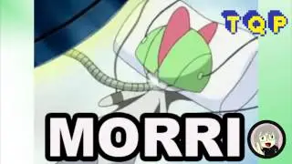 DERP POKEDEX  