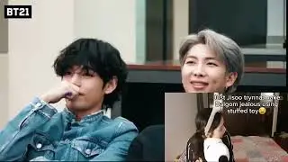 bts reaction to Blackpink being the funniest pet owners on earth