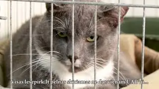 Lesės parduotuvė - Padėk mums padėti jiems