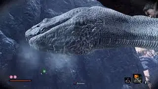 Sekiro Shadows Die Twice Part II