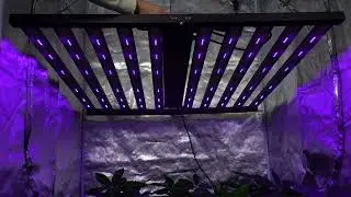 MEIJIU 1978 1000W Adjustable Spectrum Led Grow Lights