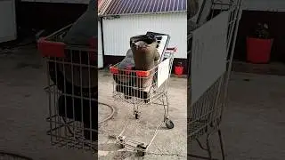РАСПРОДАЖА НА АлёXpress!