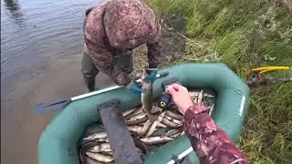 50 кг рыбы за 3 часа на спиннинг!!! Попали на щучье эльдорадо!!! На этой протоке рыба кишит!!!🐬