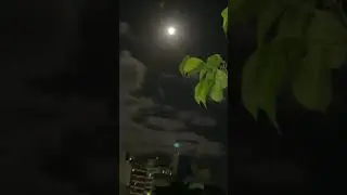 E ela surgiu majestosa🤩