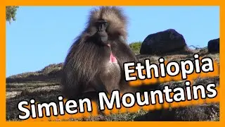 Ethiopia - Simien Mountains