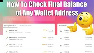 How To Check Final Balance of Any Wallet Address of Stacks ( STX )