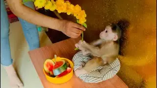 Baby Doro give the flowers to his girlfriend