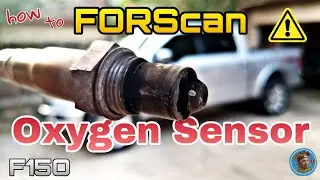 Oxygen sensor replacement ford f150 using forscan troubleshooting
