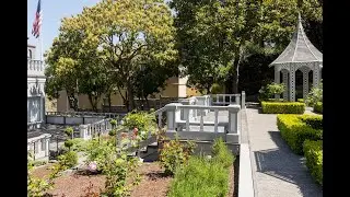 Fay Park Wedding Walkthrough - Best Places to Elope in San Francisco (San Francisco Wedding Venues)