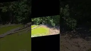 Отдыхательный комплекс Глухомань.  Черепаховое озеро. Полтава. #shorts #tiktok