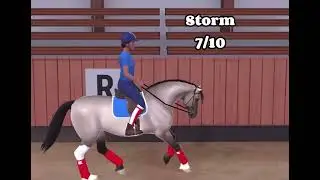 Rating my horses on beat canter!