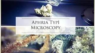 Microscopy of Medical Cannabis Aphria Typ1