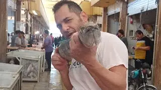 fish cutting skills.برش ماهی دربازار بوشهر