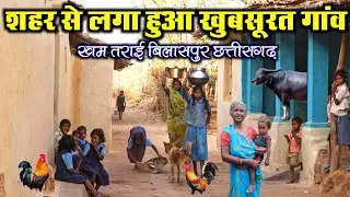 गाँव का बहुत सुंदर जीवन बिलासपुर छत्तीसगढ़ khamtarai Gaon Bilaspur Chhattisgarh  village life 2024