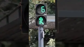 30 Seconds Countdown | Traffic Lights Timer | #shorts #minutes #countdown #timer #silent #shorts