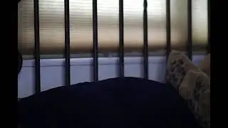 sleep Stream