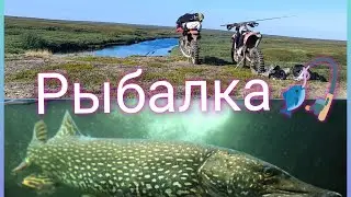 Еду с Жекой на рыбалку 🎣. Приключения заказывали?