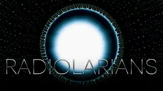 RADIOLARIANS // 4K EXPERIMENTAL MACRO COLORS