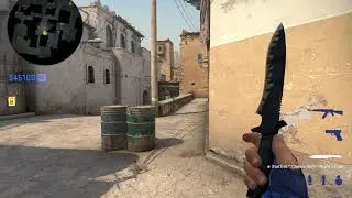 dust2 t 2020