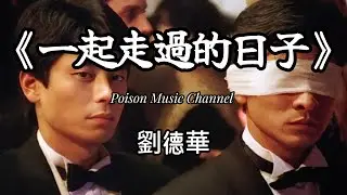 劉德華 《一起走過的日子》 从来无人明白我 唯一你给我好日子 有你有我有情有生有死有义 #劉德華 #一起走過的日子 #經典老歌
