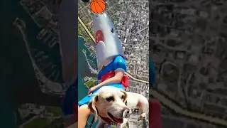 I found shark girl on google earth #shorts #map #earth #googlearth #ytshortsvideo