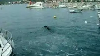 Mo and Kiara dive part 3