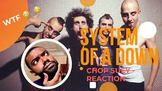 ABSOLUTELY WILD🤯!! African first react to rock music | chop suey by System Of A Down.