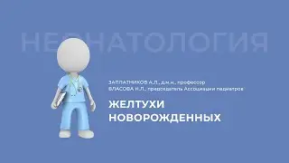 29.11.2020 
