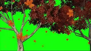Tree green screen effect | New green screen effect | filling with plants green screen video | vfx