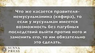 Шейх С. Рухайли: Является ли делящий правителей мусульман на шариатских и нет - хизбитом?